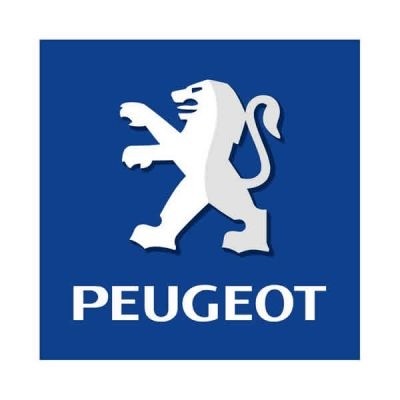 Peugeot ECU Remap